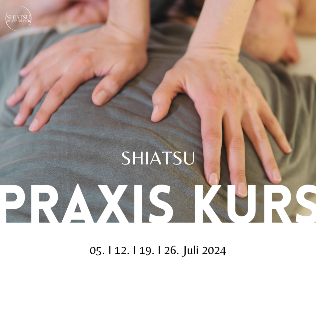 Shiatsu Praxis-Kurs